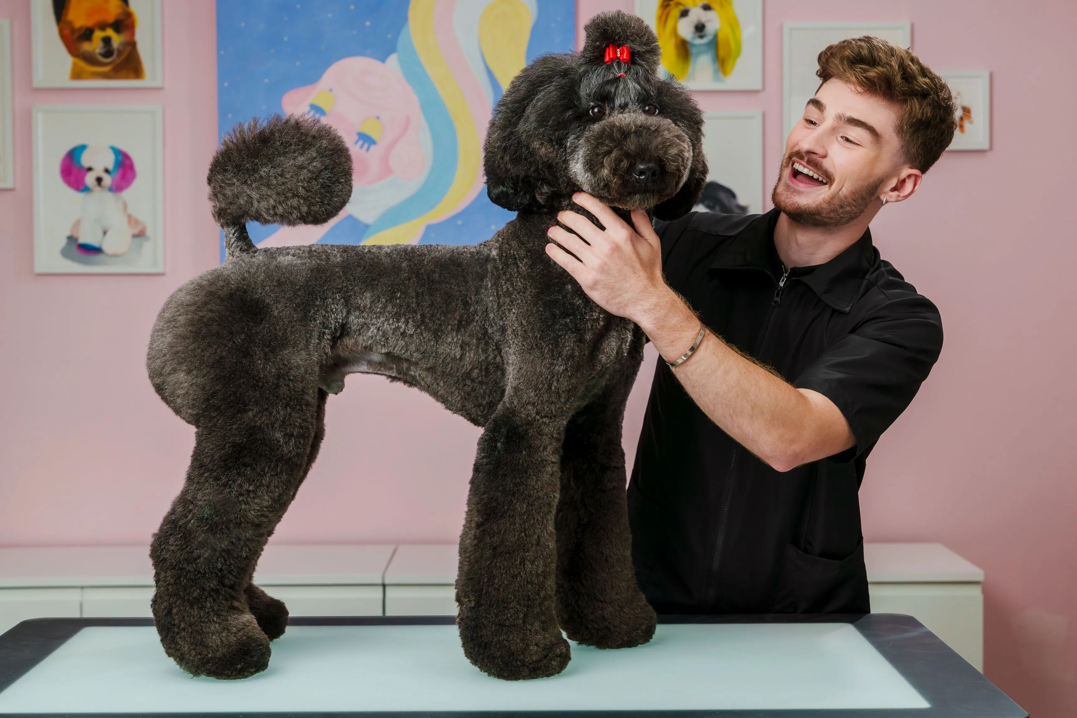 Man next to dog that he clipped the hair of.